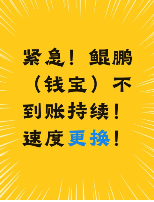 立刷官网提醒您：紧急！鲲鹏（钱宝）不到账持续！速度更换！